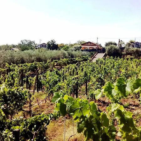 Casale 